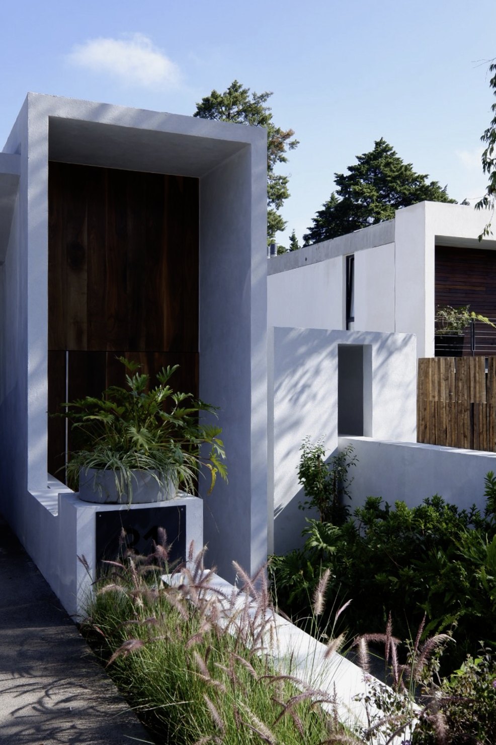 El volumen blanco sobre el jardín, entre la vegetación