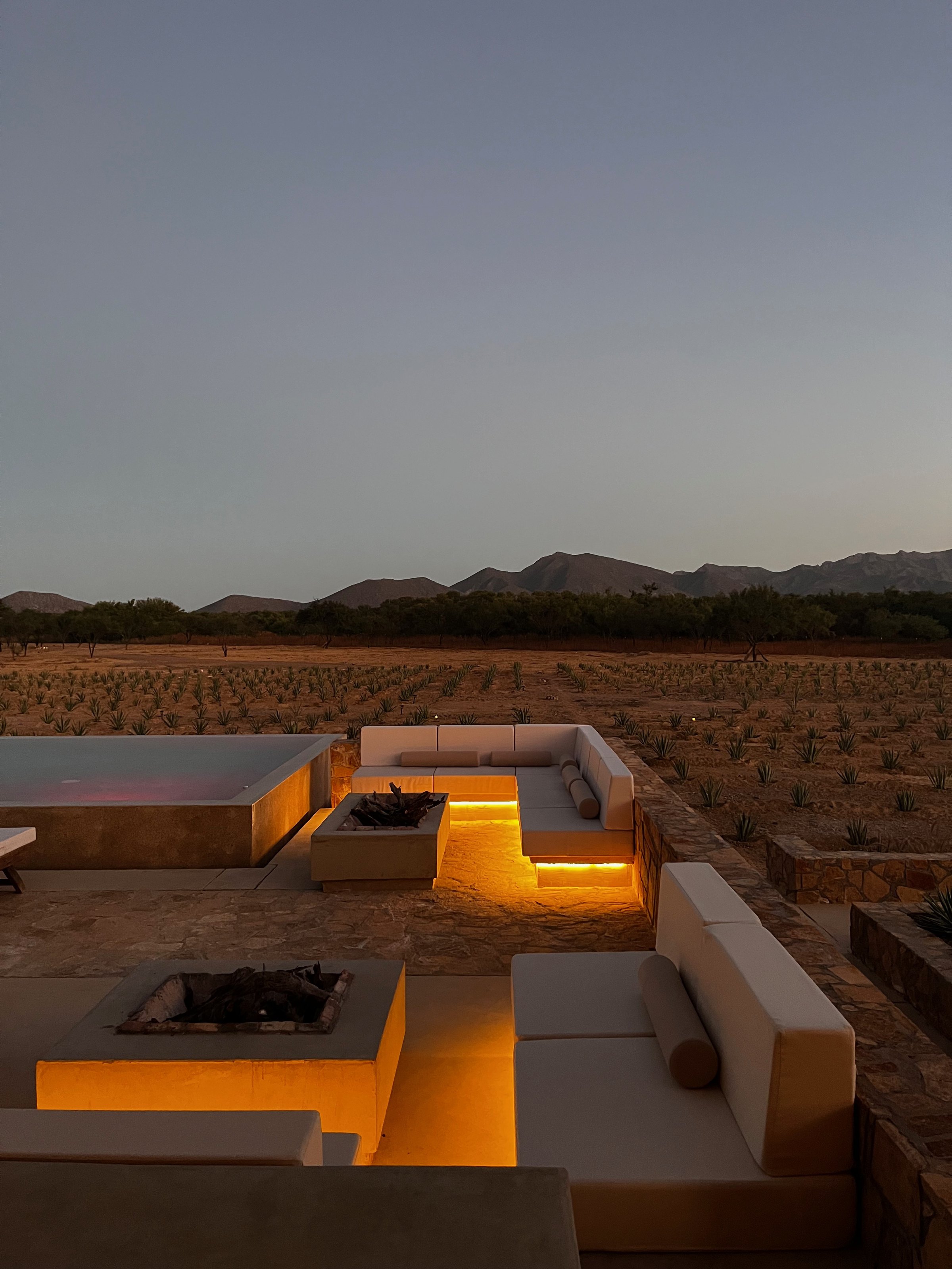 La terraza con los sillones sobre el plantío, al atardecer