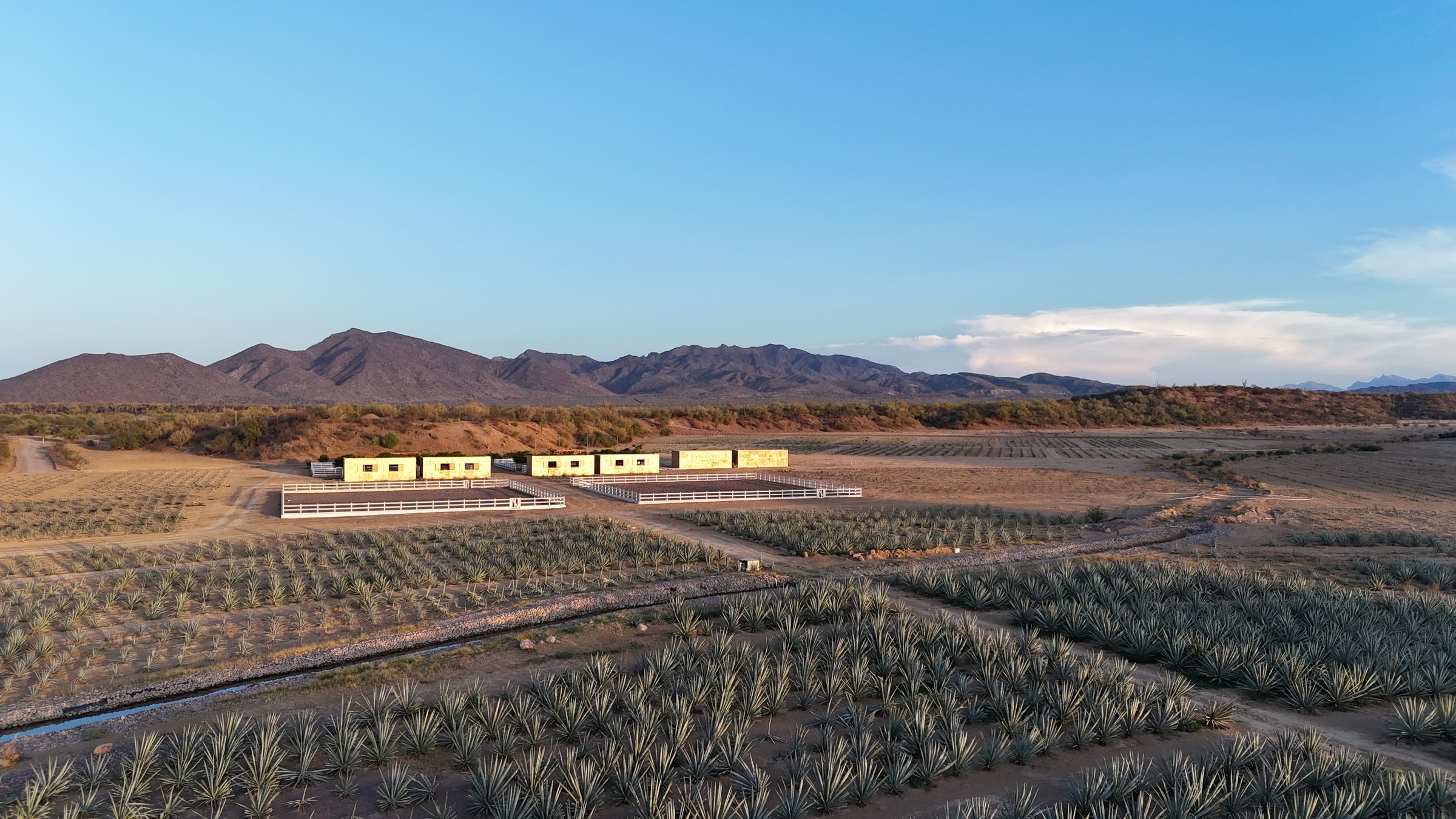El valle con el plantío y las construcciones, desde el aire